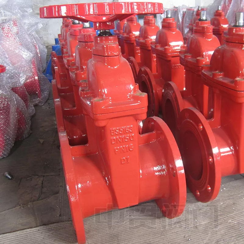 BS5163 Standard Resilient Sattentyventil